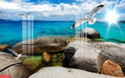 Tải file File tranh gốc dán tường đẹp K79193 (ảnh gốc) in tráng gương