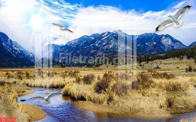 Download file File tranh gốc dán tường đẹp K79212 (chất lượng in ấn)