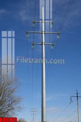 Tải file tranh File tranh gốc tổng hợp K80029 (ảnh gốc) ngay