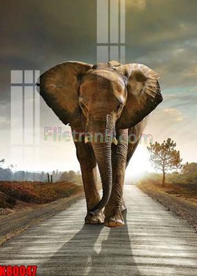 File gốc File tranh gốc tổng hợp K80047 (bản quyền) cho in ấn