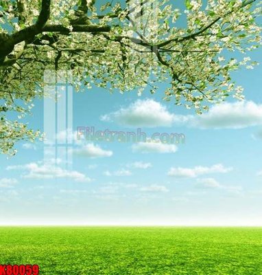 Download file File tranh gốc tổng hợp K80059 (gốc) in mica cao cấp