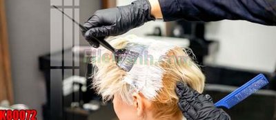 File tranh File tranh gốc tổng hợp K80072 (gốc) chủ đề động vật