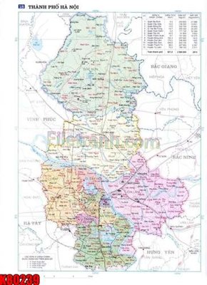 File in ấn File tranh gốc tổng hợp K80239 chuyên nghiệp