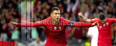 Tải về file gốc File tranh gốc tổng hợp K80247 (dùng cho in quảng cáo)