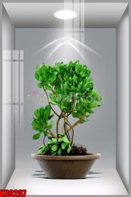 File PSD File tranh gốc tổng hợp K80297 (bản gốc) cho nhà in