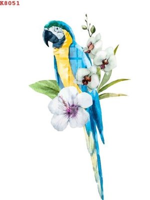 File in mica File gốc in tranh tổng hợp K8051 (bản gốc) sắc sảo