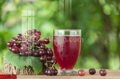 Tệp tin gốc File tranh gốc tổng hợp K80543 (chất lượng cao) File tranh gốc tổng hợp K80543