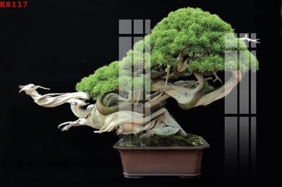 File tranh File gốc in tranh tổng hợp K8117 (ảnh gốc) độ nét vượt trội