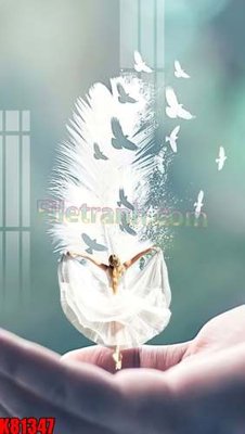 File tranh File tranh gốc tổng hợp K81347 (ảnh gốc) in trần 3D