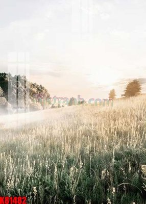 File gốc File tranh gốc tổng hợp K81482 (in lụa) tranh thuận buồm