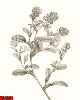 File ảnh File tranh gốc tổng hợp K81954 (gốc) in quảng cáo ngoài trời