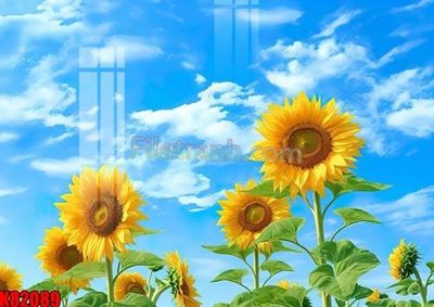 File gốc File tranh gốc tổng hợp K82089 (PNG) nền trong suốt