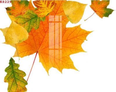 File tranh File gốc in tranh tổng hợp K8229 (gốc) in trên kính