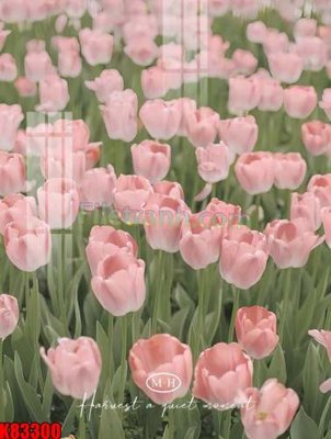 File PSD File tranh gốc tổng hợp K83300 (bản gốc) dễ dàng edit