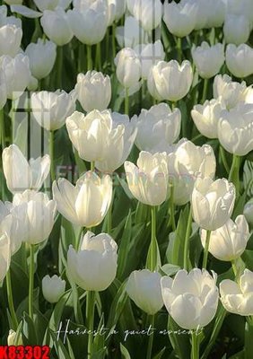 File gốc File tranh gốc tổng hợp K83302 (in mica) làm quà tặng