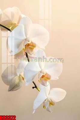 File gốc File tranh gốc tổng hợp K83372 (cho in UV) siêu nét