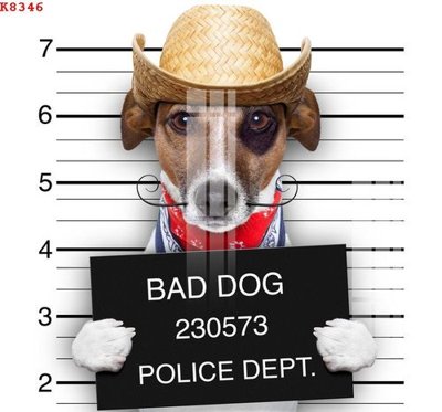 File ảnh File gốc in tranh tổng hợp K8346 (gốc) in decal dán tường