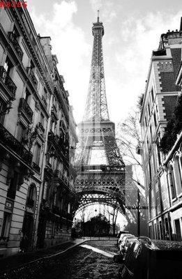 File tranh File gốc in tranh tổng hợp K8366 (gốc) chủ đề động vật