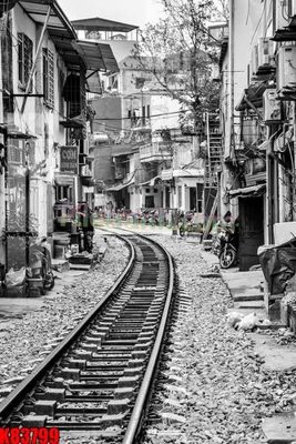 File gốc in ấn File tranh gốc tổng hợp K83799 chất lượng vượt trội