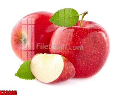 File in mica File tranh gốc tổng hợp K83805 (bản gốc) làm vách ngăn