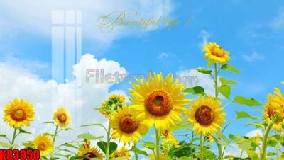 Tải file File tranh gốc tổng hợp K83950 (ảnh gốc) in gạch men