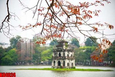 File in ấn File tranh gốc tổng hợp K84024 (bản gốc) từ file gốc