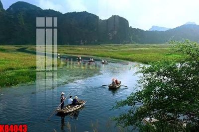 File tranh File tranh gốc tổng hợp K84043 (bản gốc) treo phòng ăn