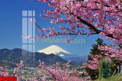 File gốc File tranh gốc tổng hợp K84045 (in ấn) màu sắc trung thực