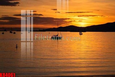 File in lụa File tranh gốc tổng hợp K84061 (tân cổ điển) File tranh gốc tổng hợp K84061