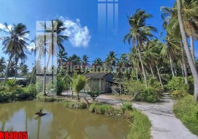 File tranh File tranh gốc tổng hợp K84065 (ảnh gốc) sắc nét hoàn hảo