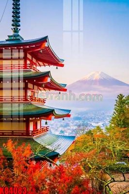 File gốc File tranh gốc tổng hợp K84083 (AI/EPS) cho in ấn