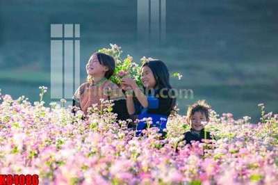 File gốc File tranh gốc tổng hợp K84086 cho in ấn và thiết kế