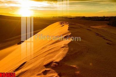 File gốc File tranh gốc tổng hợp K84651 (cho in ấn) từ kho Filetranh