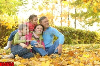 File tranh in mica File tranh gốc tổng hợp K84656 (độ phân giải cao)