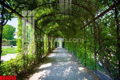 File tranh File tranh gốc tổng hợp K84845 (gốc) phong cách tối giản