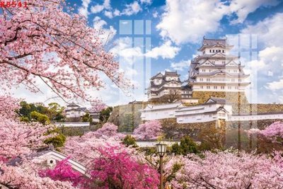 Ảnh gốc File gốc in tranh tổng hợp K8541 (nét căng) in mica