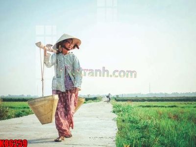 File PSD File tranh gốc tổng hợp K86259 (bản gốc) đã tách nền