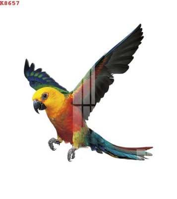 File in lụa File gốc in tranh tổng hợp K8657 (phong cảnh) File gốc in tranh tổng hợp K8657