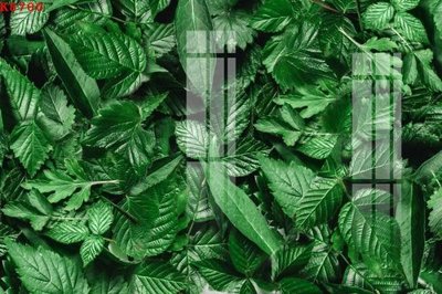 File tranh File gốc in tranh tổng hợp K8700 (bản gốc) in lụa 5D