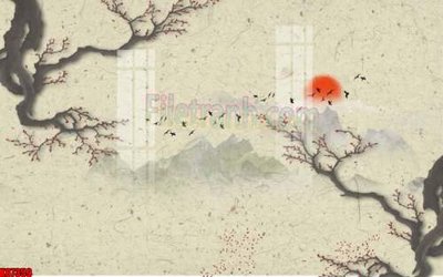 File tranh File gốc in tranh tổng hợp tường nền K87359 (ảnh gốc) in trần xuyên sáng