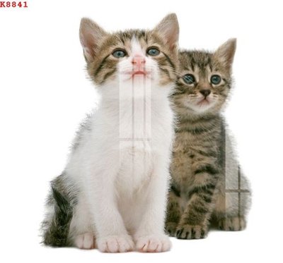 File gốc File gốc in tranh tổng hợp K8841 (in lụa) tranh phong thủy