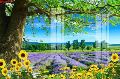 File ảnh File gốc in tranh tổng hợp K8899 (gốc) in Hiflex