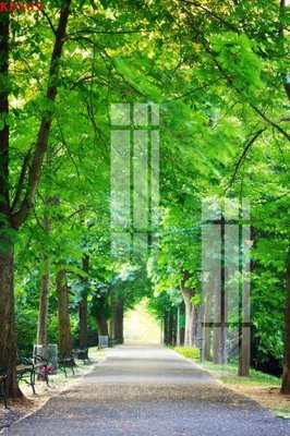 File tranh in trần File gốc in tranh tổng hợp K8909 (ảnh gốc siêu nét)