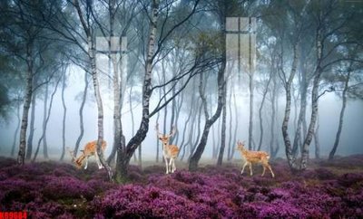 Mua file gốc File tranh gốc tổng hợp tranh nền tường đẹp K89684 (in ấn) tại Filetranh.com