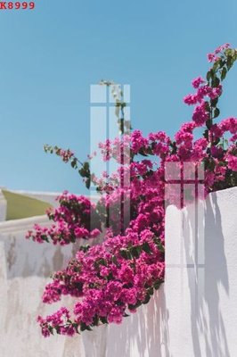 File gốc File gốc in tranh tổng hợp K8999 (PNG) không nền chất lượng