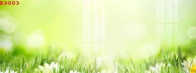 Tải file File gốc in tranh tổng hợp K9003 (ảnh gốc) file AI/EPS