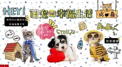 Hình ảnh gốc File tranh gốc tổng hợp tranh nền tường đẹp K90169 (để in khổ lớn)