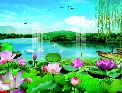 File in trần File tranh gốc tổng hợp tranh nền tường đẹp K90245 (bản gốc) 5D