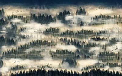 File tranh gốc File tranh gốc tổng hợp tranh dán nền tường đẹp K91019 chủ đề hiện đại