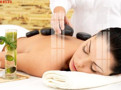 File tranh File gốc in tranh tổng hợp K9120 (gốc) chủ đề tĩnh vật